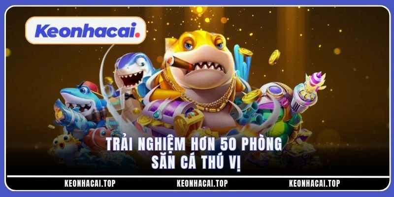 Trải nghiệm hơn 50 phòng săn cá thú vị